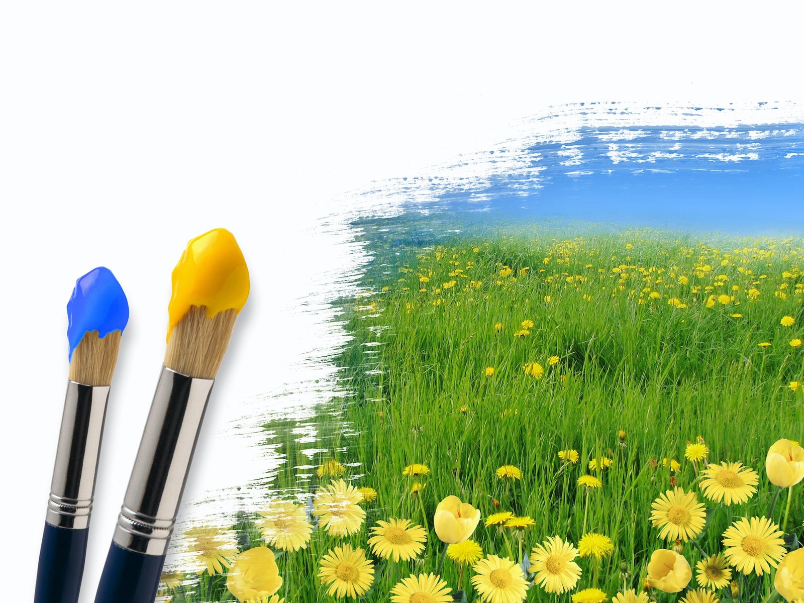 Spring home improvement projects adam roe painting