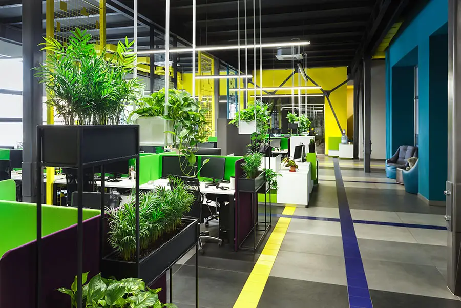 Commercial Color Trends for 2025