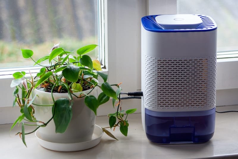 Dehumidifier