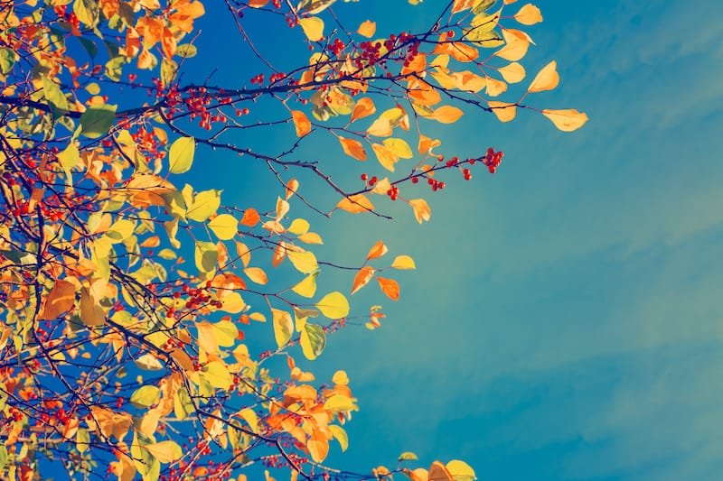 Colorful Outdoor Colors for Paint Choice