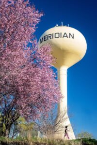 City water tower with spring blooming tree