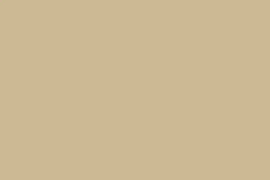sandstone beige
